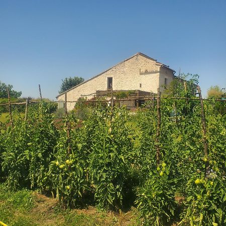 Au Mas De Janita Hotel Cahuzac-sur-Vere ภายนอก รูปภาพ