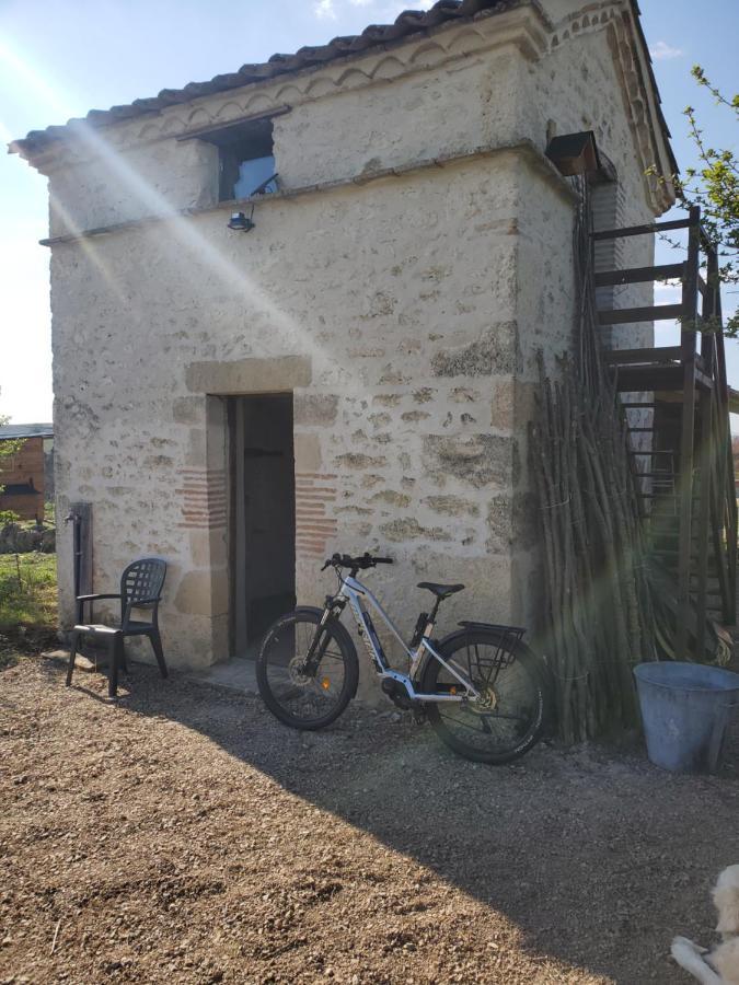 Au Mas De Janita Hotel Cahuzac-sur-Vere ภายนอก รูปภาพ